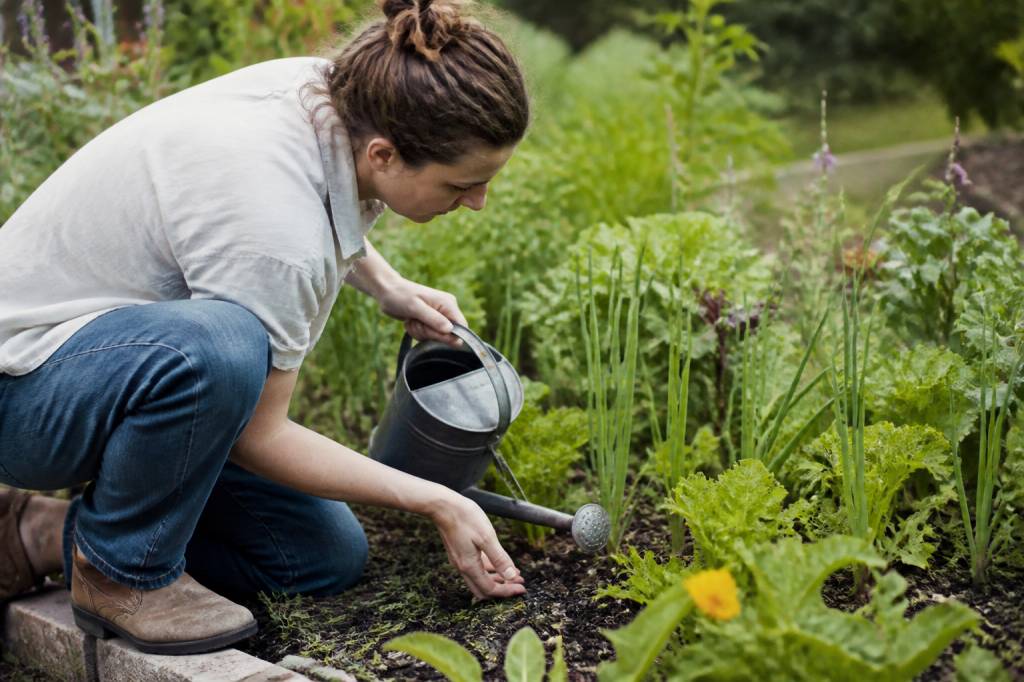 Développement durable semaine : bonnes pratiques pour agir au quotidien